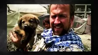 Exmarine británico intenta salir de Afganistán junto a más de 200 mascotas