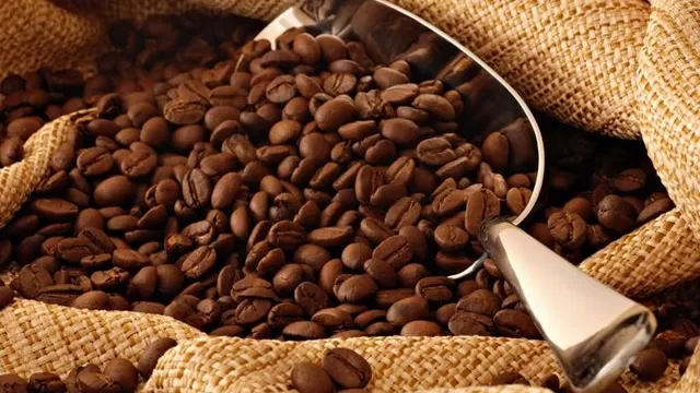 Entre el 2014 y el 2015 el Perú exportó  2,4 millones de sacos de su producción de cafe. Foto: eleconomista.net