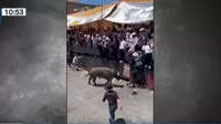 México: Toros embisten violentamente a asistentes durante festividad