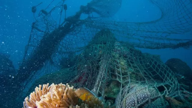 Un millón de toneladas de "redes fantasma" acaban cada año en los océanos, según WWF