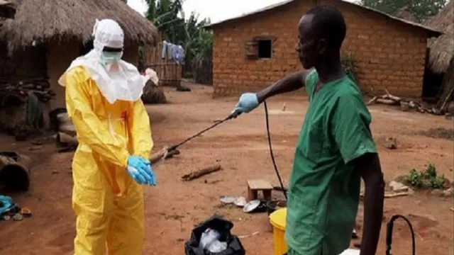 OMS declara alto el riesgo de una epidemia de ébola en países de África Occidental. Foto: Flickr referencial
