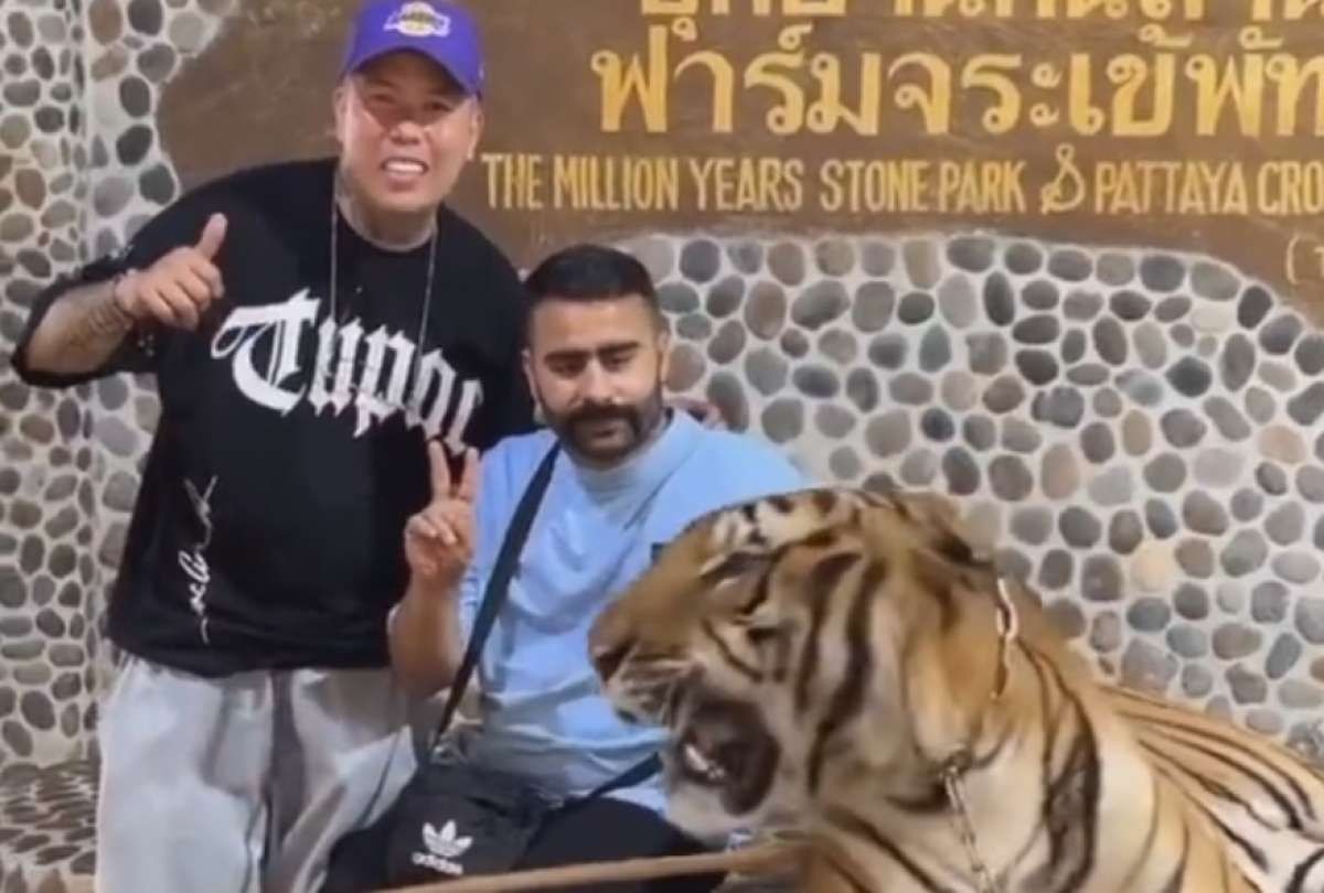Turistas posaron junto a un tigre y el final se viralizó / Canal N