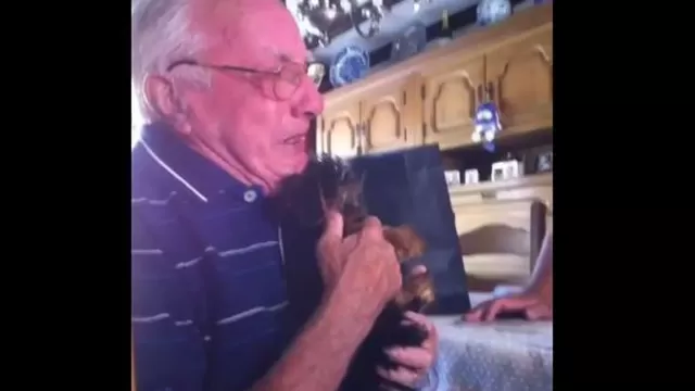 El emotivo momento en el que un abuelo viudo recibe un cachorro como regalo