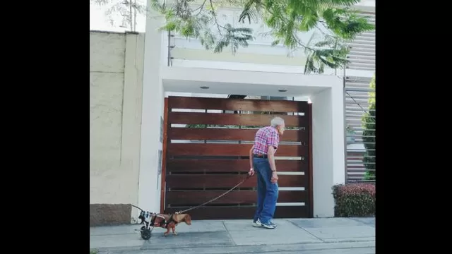 Abuelo pasea con su perro. (Vía: Facebook)