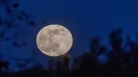 Luna llena 2023: ¿Qué día es, dónde será y cómo podemos verla?