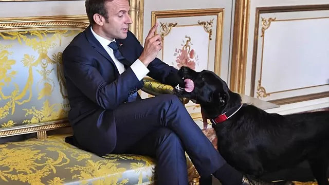 Emmanuel Macron y Nemo. Foto: AFP