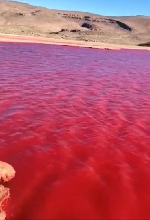 El río Nilo se tiñó de rojo y remeció las redes sociales / TikTok: @joseluismatos1