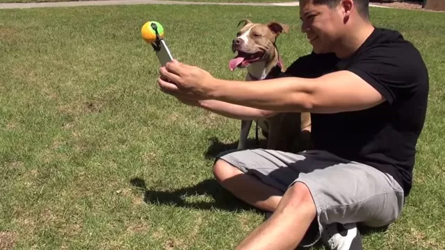 YouTube: crean accesorio para tomarse selfies con las mascotas