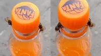 YouTube: Dos abejas trabajan en equipo y logran destapar una botella de gaseosa