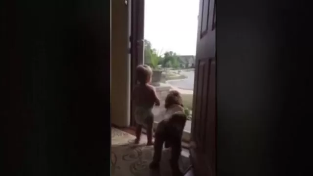 YouTube: dos adorables amigos saltan de emoción cuando ven llegar a papá