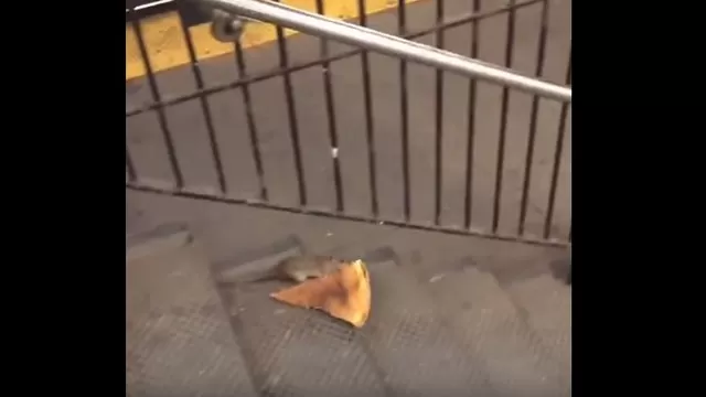 Pizza rat. (V&iacute;a: YouTube)