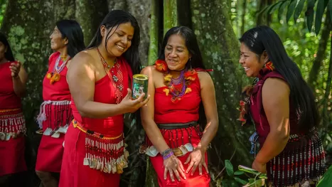 Bosque de las Nuwas: el emprendimiento que revalora a la mujer Awajún