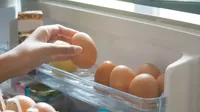 ¿Si metes los huevos al refrigerador hay riesgo de salmonella?