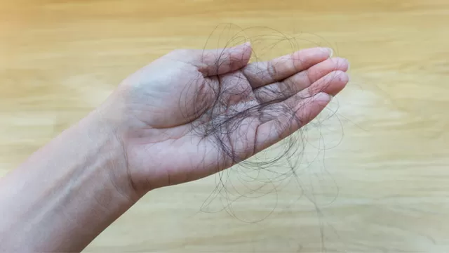 ¿Cuánto cabello se cae al día?