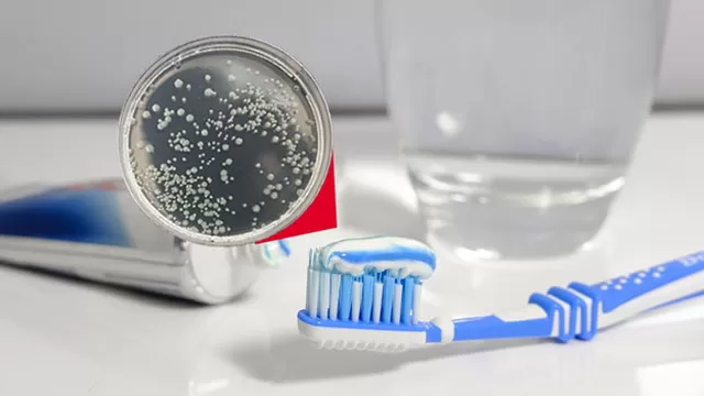 Así puedes eliminar las bacterias en el cepillo de dientes.
