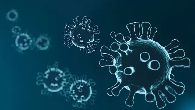 Estudios en Alemania explicaron hasta cuántos días puede sobrevivir el coronavirus