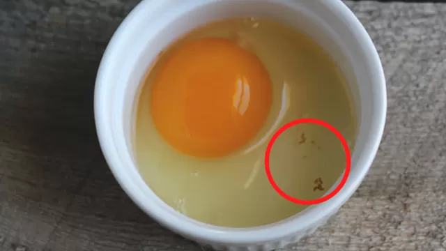 Estas manchas en el huevo pueden aparecer debido a un defecto en el organismo de la gallina.