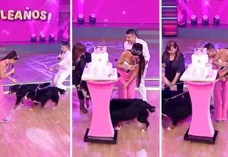 María Pía Copello sufrió incidente en vivo con las mascotas de Rosángela Espinoza