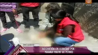 	Huancayo: vecinos indignados por matanza de 13 perros.