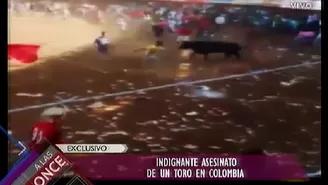 	Indignante asesinato de un toro en Colombia.