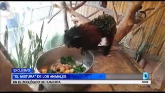 ‘El Mistura’ de los animales en el zoológico de Huachipa