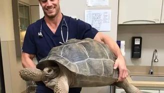 El veterinario más sexy del mundo, según las redes sociales
