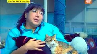 	Conoce Casita Gatuna albergue de gatitos con leucemia
