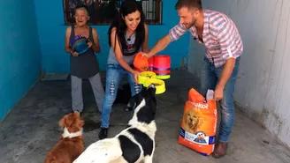 David Villanueva llevó ayuda y alegría a albergue de perritos