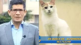 DR Vet: Erick Osores busca a su gatita "Alfonsina"