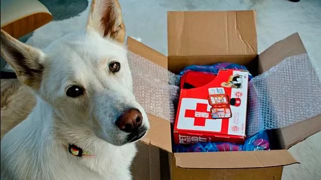 	Prepara un kit de emergencia para tu mascota ante un sismo