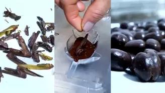 Chanchamayo: disfruta de los nutritivos chocolates con relleno de insectos comestibles