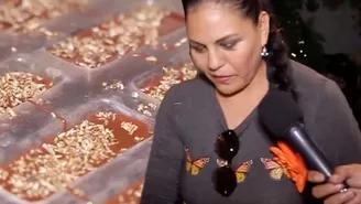Dina Páucar sorprendió en Chanchamayo tras comer chocolate de termitas