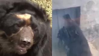 	Facebook: denuncian maltrato a oso de anteojos en zoológico de Huachipa.