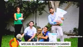 Wecan: el emprendimiento para ayudar a perros abandonados