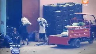 Parte 2: Denuncian ingreso irregular de camiones y verduras a cuartel Barbones