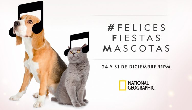 original_1607686763_Felices-Fiestas-MASCOTAS_KA_Horizontal-OK-DOG&CAT