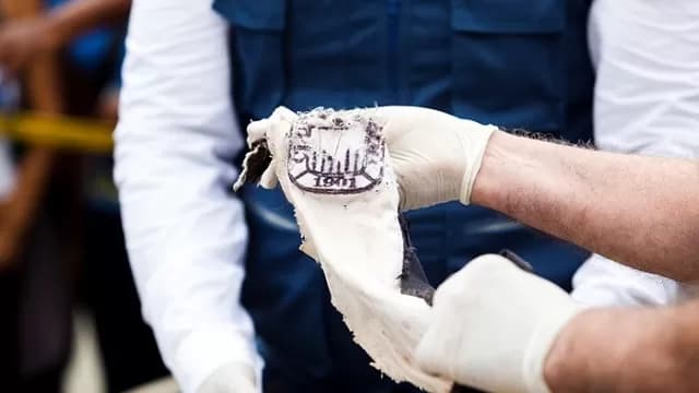 Fotos: Zugeily Merino-foto-1