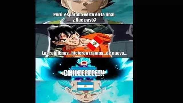 Argentina espera campeonar tras 22 años.-foto-11