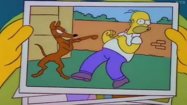 Boca Juniors: memes que dejó pelea entre Insaurralde y Jonathan Silva-foto-7