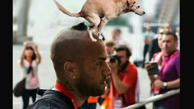 Foto: Internet.-foto-7