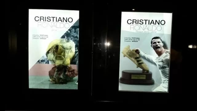 Foto: Luis Francisco Miranda -foto-8