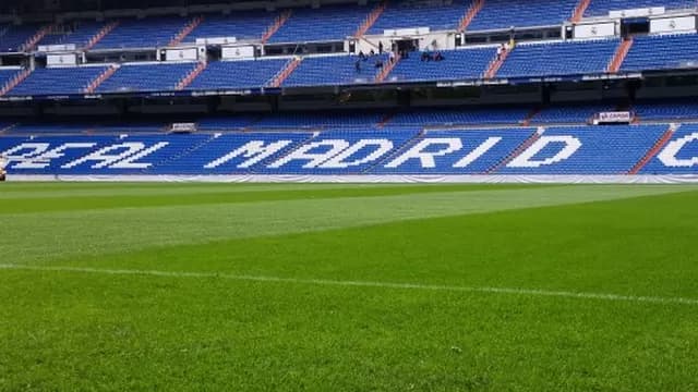 Foto: Luis Francisco Miranda -foto-12