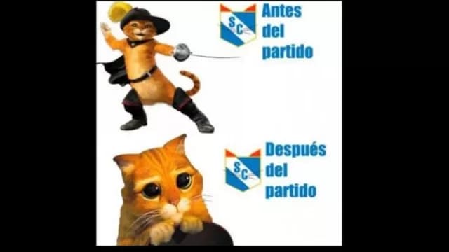 Los memes de la derrota de Sporting Cristal.-foto-6