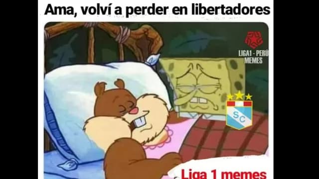 Los memes de la derrota de Sporting Cristal.-foto-10