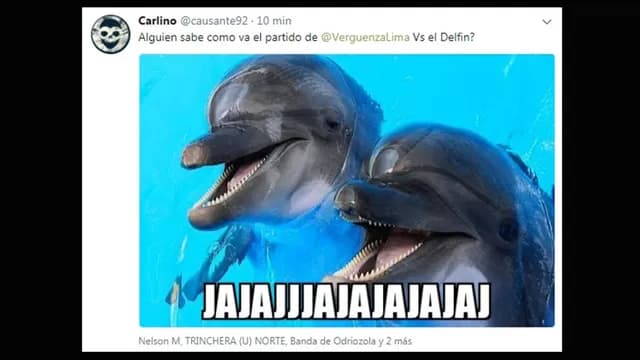 Foto: Internet-foto-5