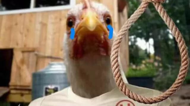 Foto: Internet.-foto-5