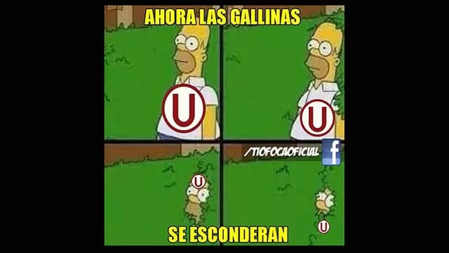 Foto: Internet.-foto-6