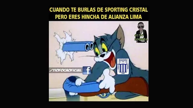 Foto: Internet.-foto-2