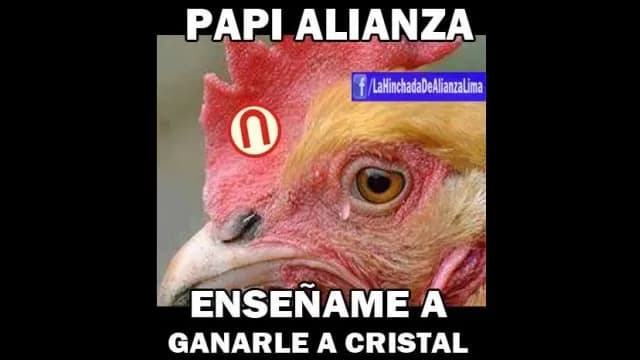 Los memes tras la victoria de Sporting Cristal sobre Universitario-foto-2