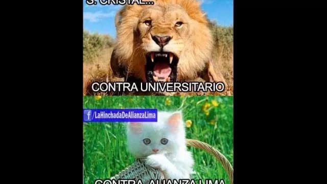 Los memes tras la victoria de Sporting Cristal sobre Universitario-foto-4